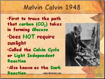 Melvin Calvin 1948