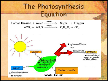 The Photosynthesis Equation