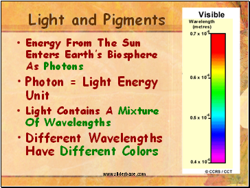 Light and Pigments