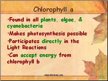 Chlorophyll a