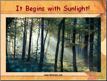 It Begins with Sunlight!