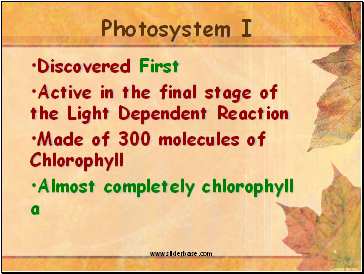 Photosystem I