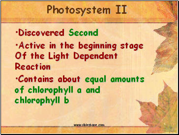 Photosystem II