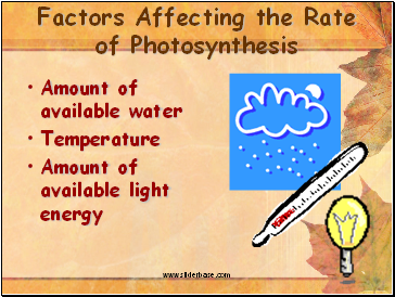 Factors Affecting the Rate of Photosynthesis