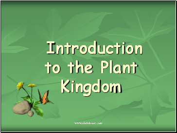 Introduction to the Plant Kingdom