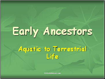 Early Ancestors