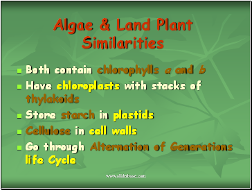 Algae & Land Plant Similarities