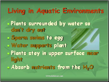 Living in Aquatic Environments