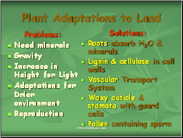 Plant Adaptations to Land