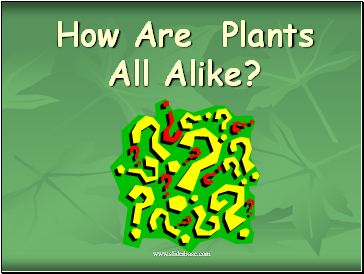 How Are Plants All Alike?