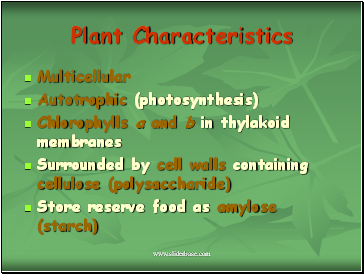 Plant Characteristics