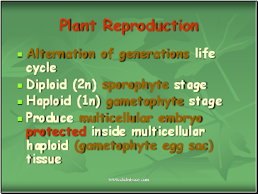 Plant Reproduction