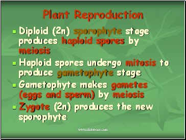 Plant Reproduction