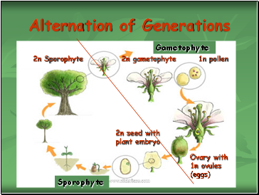 Alternation of Generations