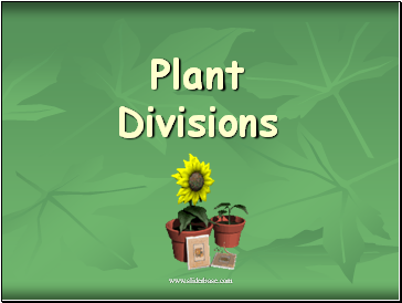 Plant Divisions