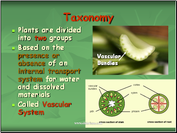 Taxonomy