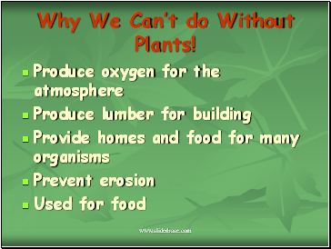 Why We Cant do Without Plants!