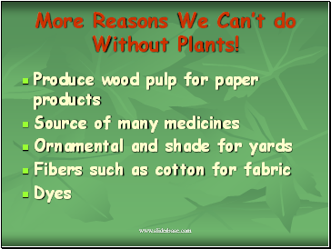 More Reasons We Cant do Without Plants!