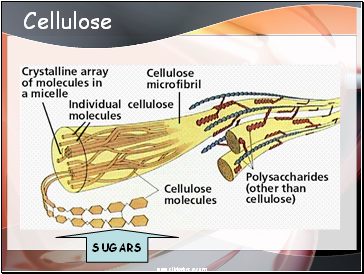 Cellulose