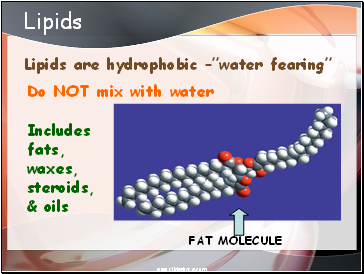 Lipids