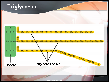 Triglyceride