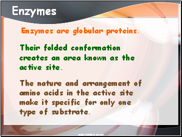 Enzymes