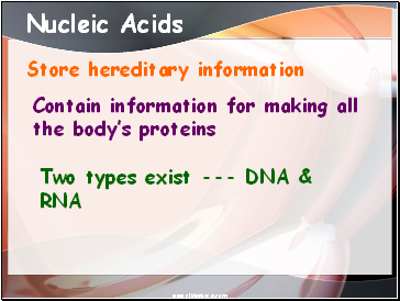 Nucleic Acids