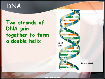 DNA