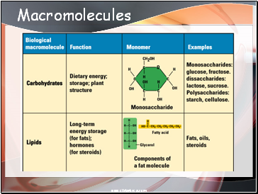 Macromolecules