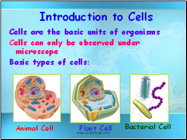 Introduction to Cells