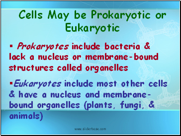 Cells May be Prokaryotic or Eukaryotic