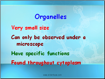 Organelles