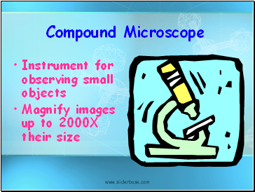 Compound Microscope