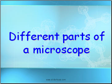 Different parts of a microscope