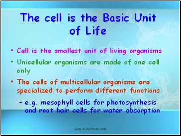 The cell is the Basic Unit of Life