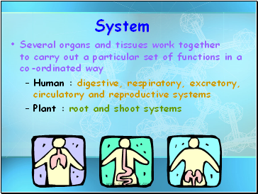 System