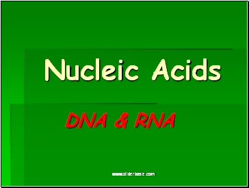 Nucleic Acids