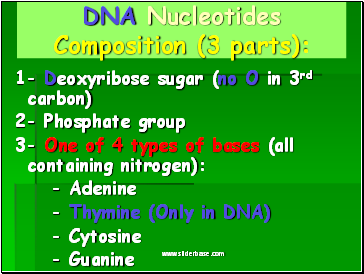 DNA Nucleotides Composition (3 parts):