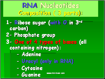 RNA Nucleotides Composition ( 3 parts):