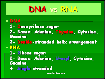 DNA vs RNA