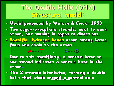 The Double Helix (DNA) Structural model: