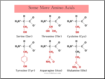 Some More Amino Acids