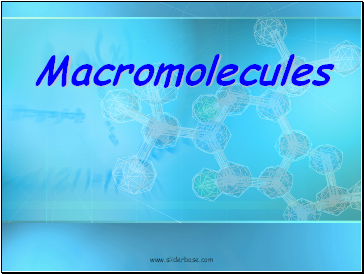 Macromolecules