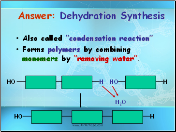 Answer: Dehydration Synthesis
