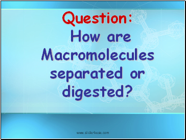 Question: How are Macromolecules separated or digested?