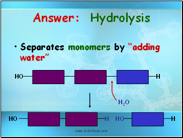 Answer: Hydrolysis
