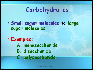 Carbohydrates