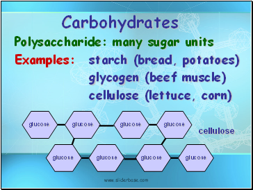 Carbohydrates