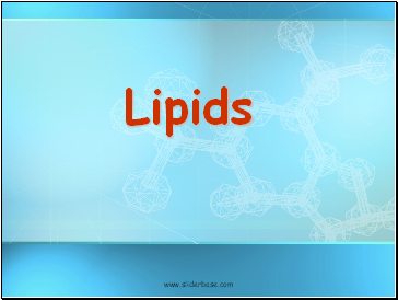 Lipids