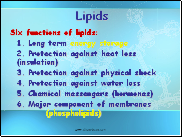 Lipids